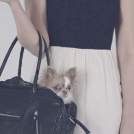 Florian Fischer - Multidisciplianary Designer based in Berlin